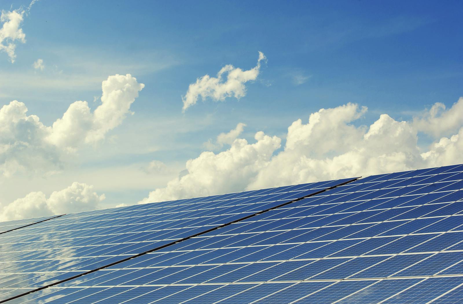 Solar panel array catching sunlight